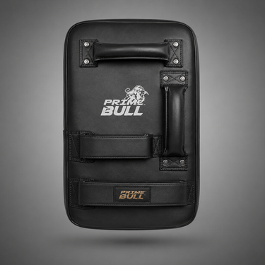 CoachPro Punching Mitts