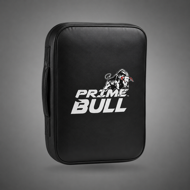 CoachPro Punching Mitts