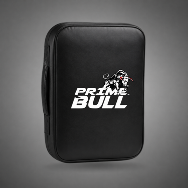CoachPro Punching Mitts